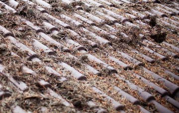 Honeydon roof cleaning companies